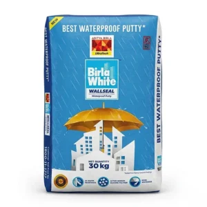 Birla White Waterproof Wall Putty